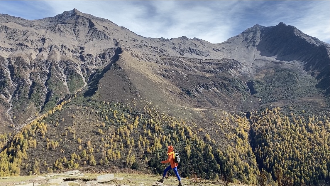 最火社区抖音涨赞：社交媒体涨粉实战秘籍助你人气飙升_ks自助下单服务平台
